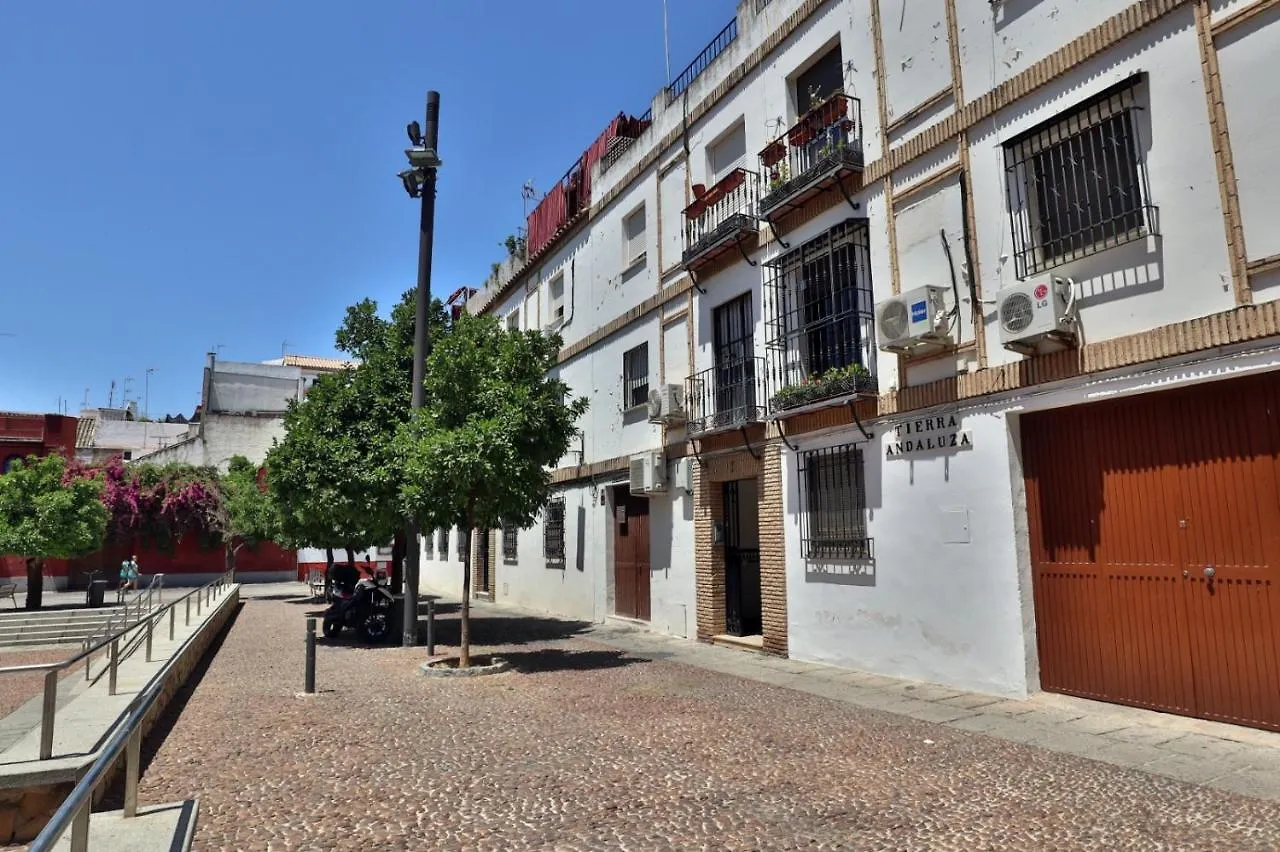 New Apartamento Tierra Andaluza Junto Mezquita Cordoba Spain
